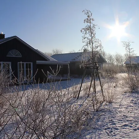 Reitcamp Gmbh & Co. Kg Börgerende-Rethwisch