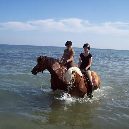 Reitcamp Gmbh & Co. Kg Hotel