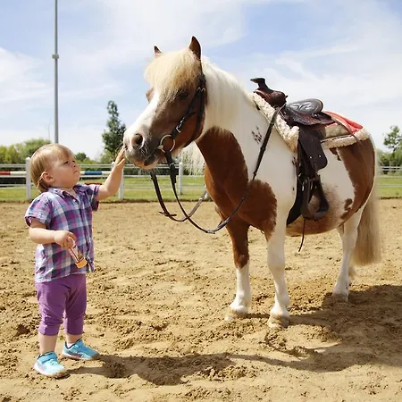 Hotel Reitcamp Gmbh & Co. Kg 4*