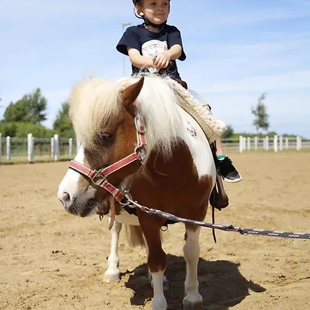 Hotel Reitcamp Gmbh & Co. Kg 4*